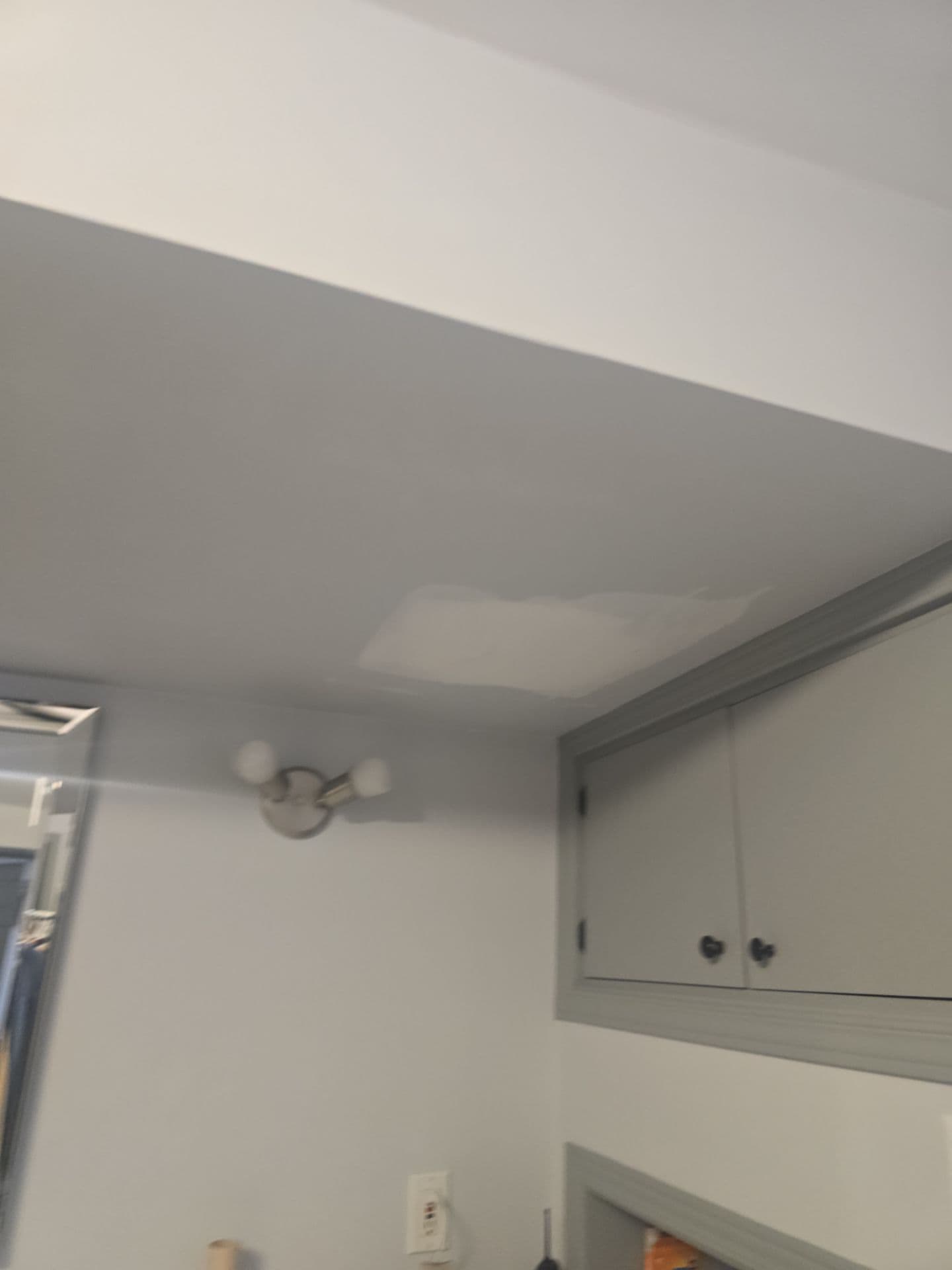 Interior Renovation project photo - Ceiling Repair