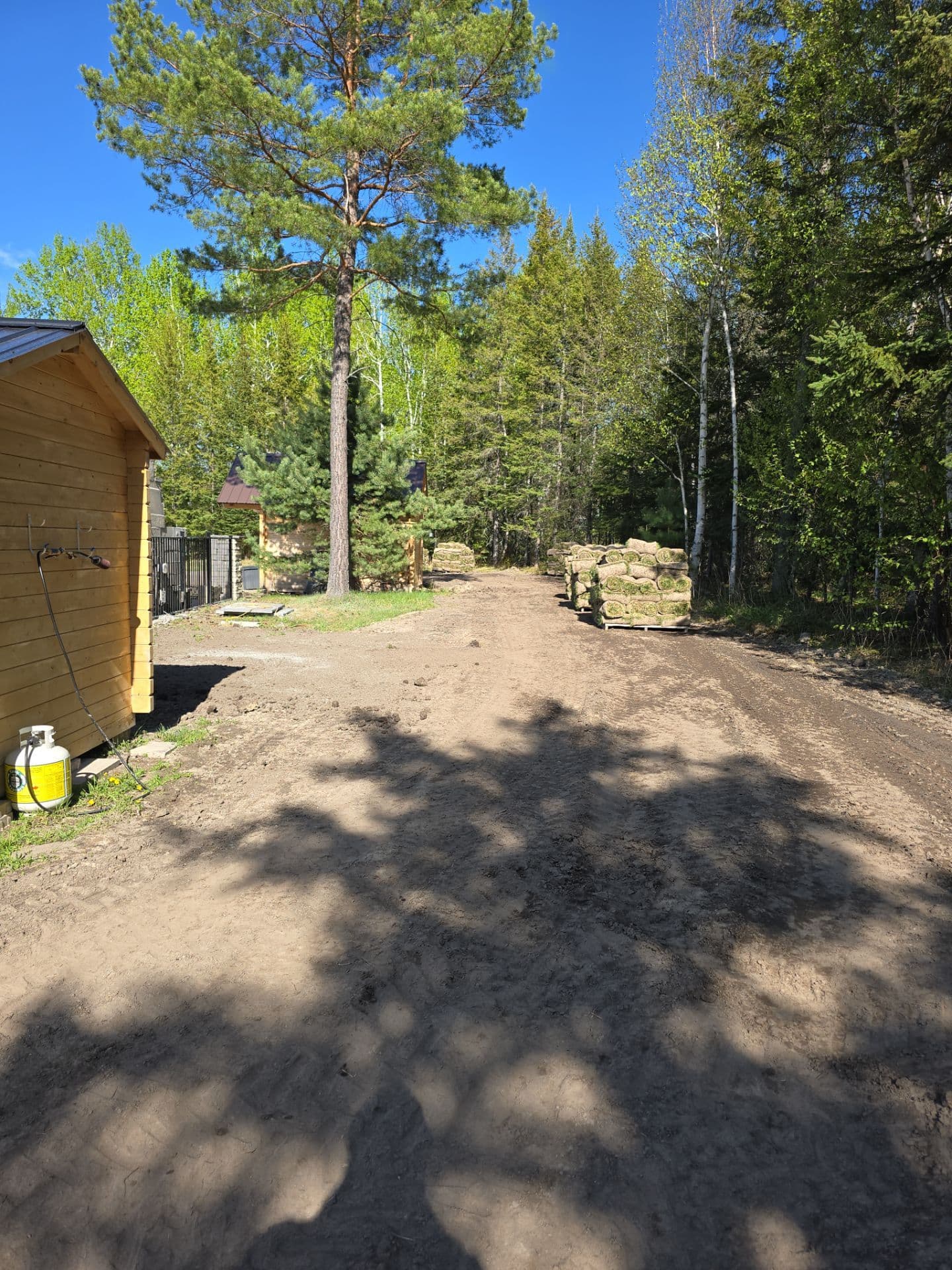 Landscaping project photo - Yard Cleanup & Property Refresh