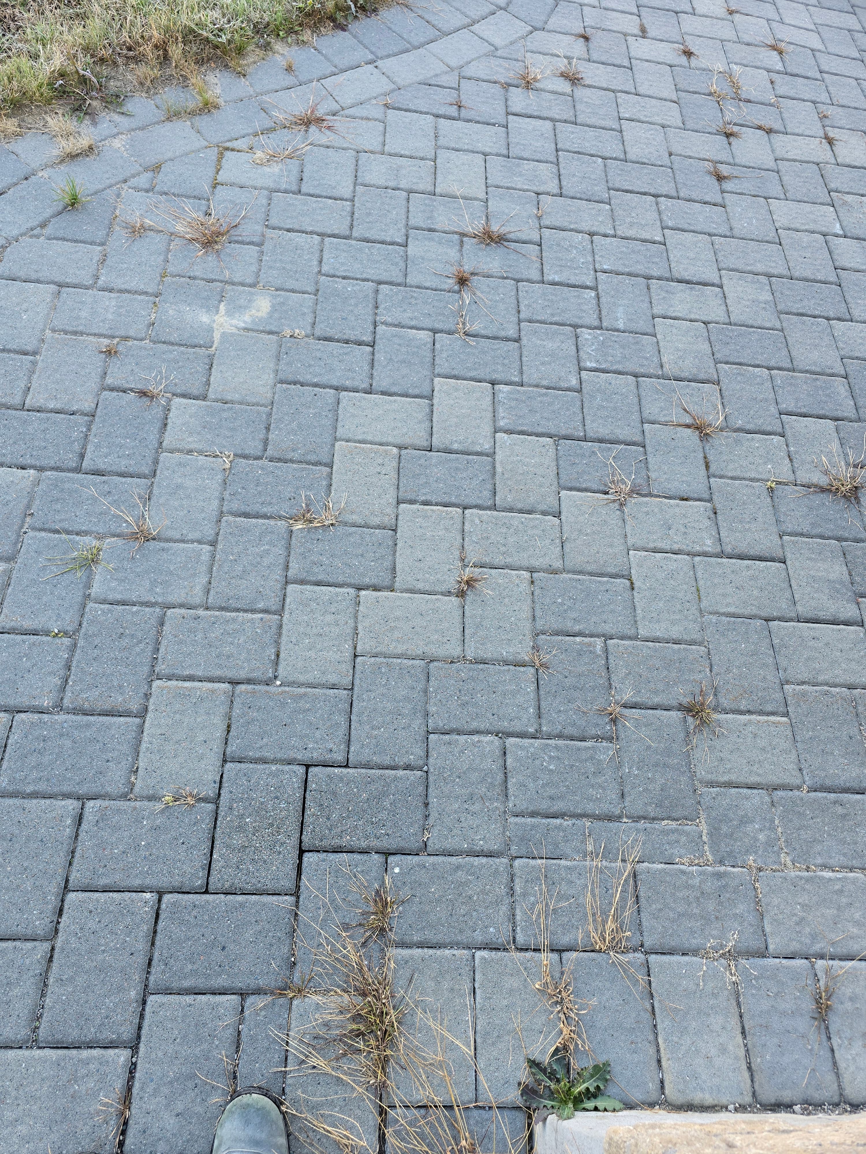 Stone Work project photo - Stone Wall & Rock Work