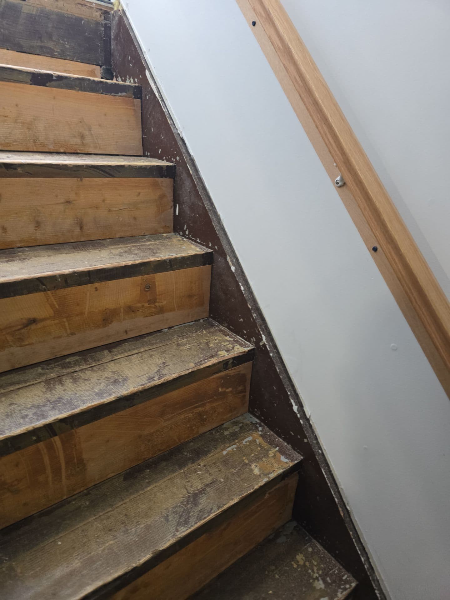 Interior Renovation project photo - Stair & Tile Refinish