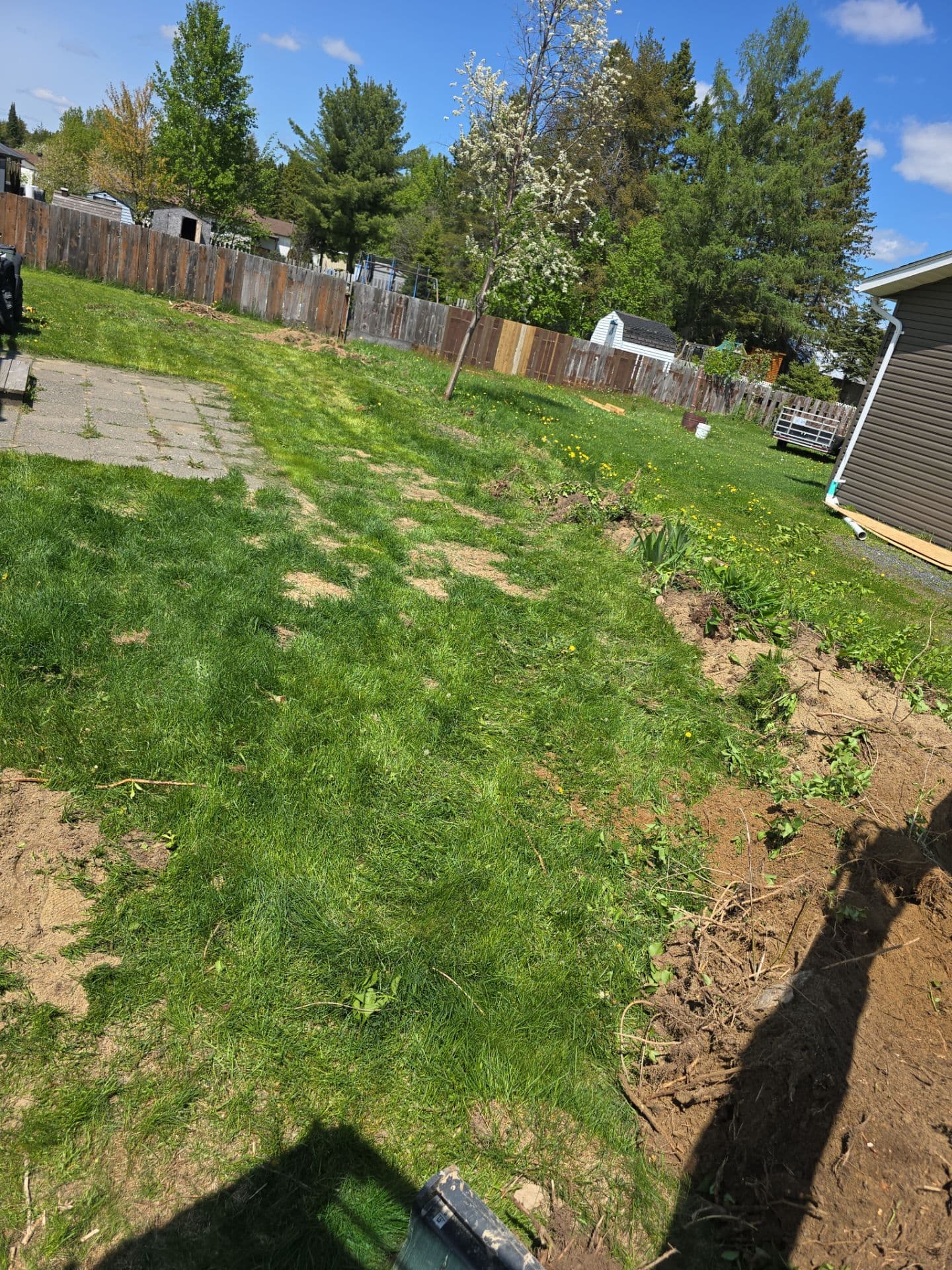 Landscaping project photo - Yard Cleanup & Property Refresh